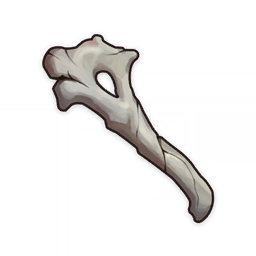 Fragile Bone Shard