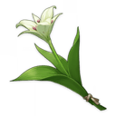 Cecilia