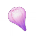 Amakumo Fruit