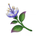 Orquídea padishá