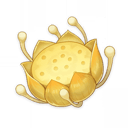 Nilotpala Lotus