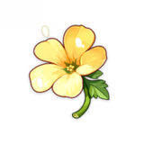 Corazón del Guerrero