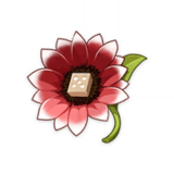 Jugadora