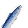 Rey de los Mares