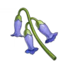 100034