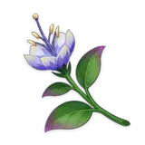 Orquídea padishá