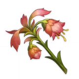Flor funeraria