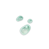 Slime Condensate
