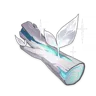 Ley Line Sprout