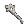 Fragile Bone Shard