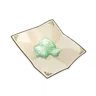 Fungal Spores