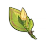 A Flower Yet to Bloom