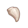 Juvenile Fang