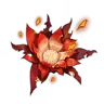 Molten Moment