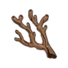 Coral Branch of a Distant Sea