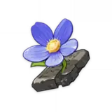 Tiny Miracle